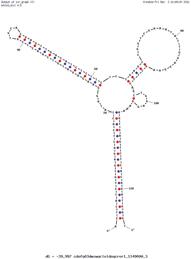 Adenosine structure