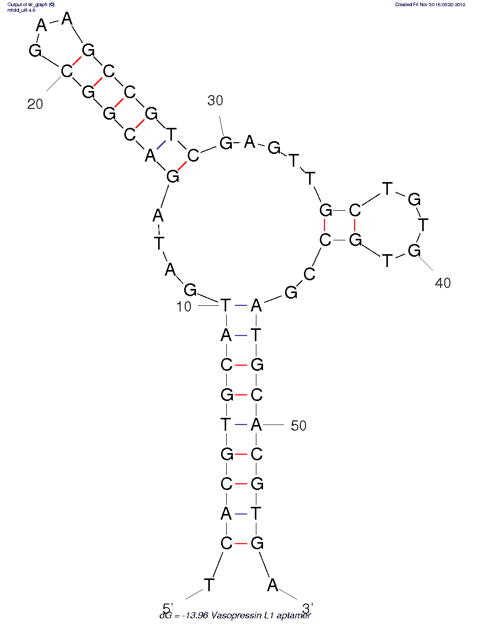L-vasopressin structure