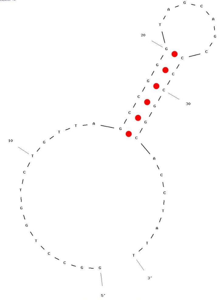 RhD antigen‑specificity 1 structure