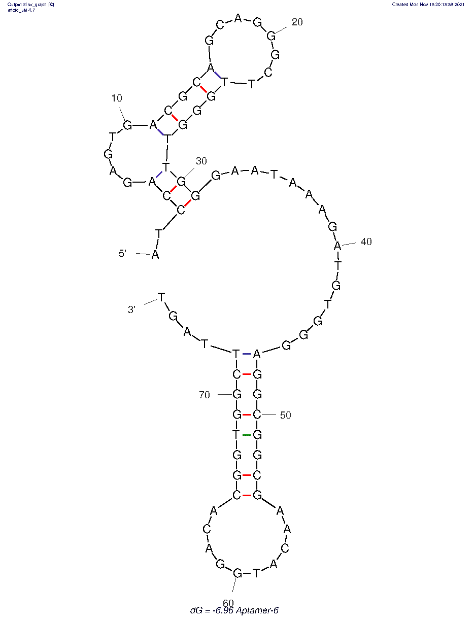 Aptamer-6 structure