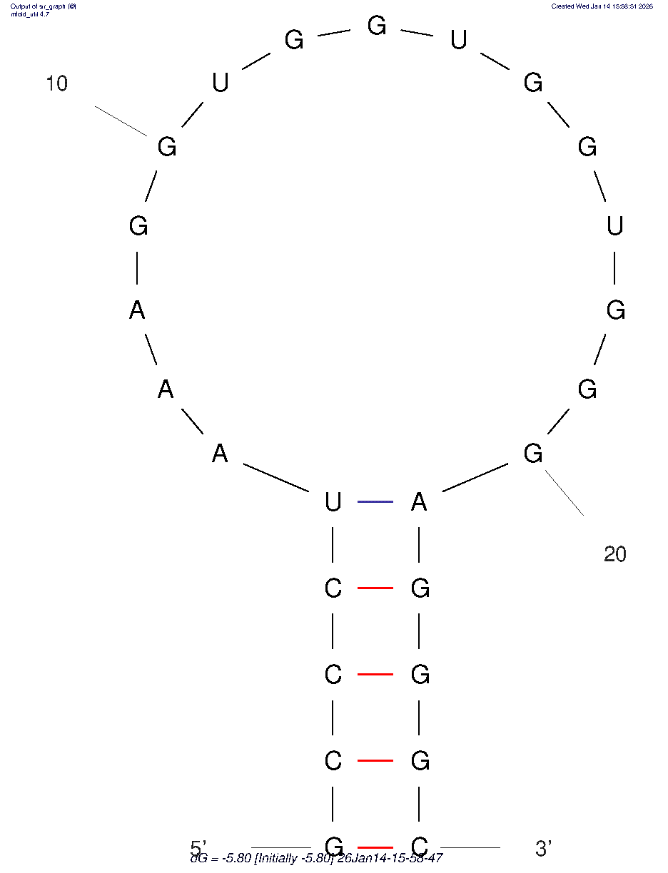 L-Apt.4–1c structure