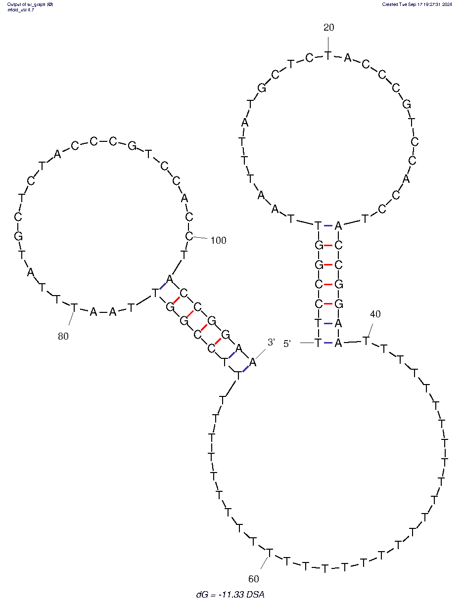 SARS-CoV-2 Spike Protein Dimeric Aptamer (DSA1N1) structure