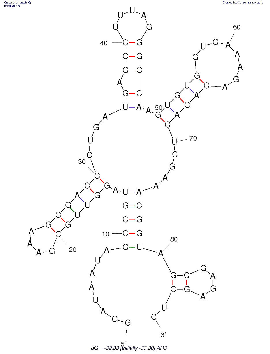 Cyclic Cytidine Monophosphate (AR3) structure
