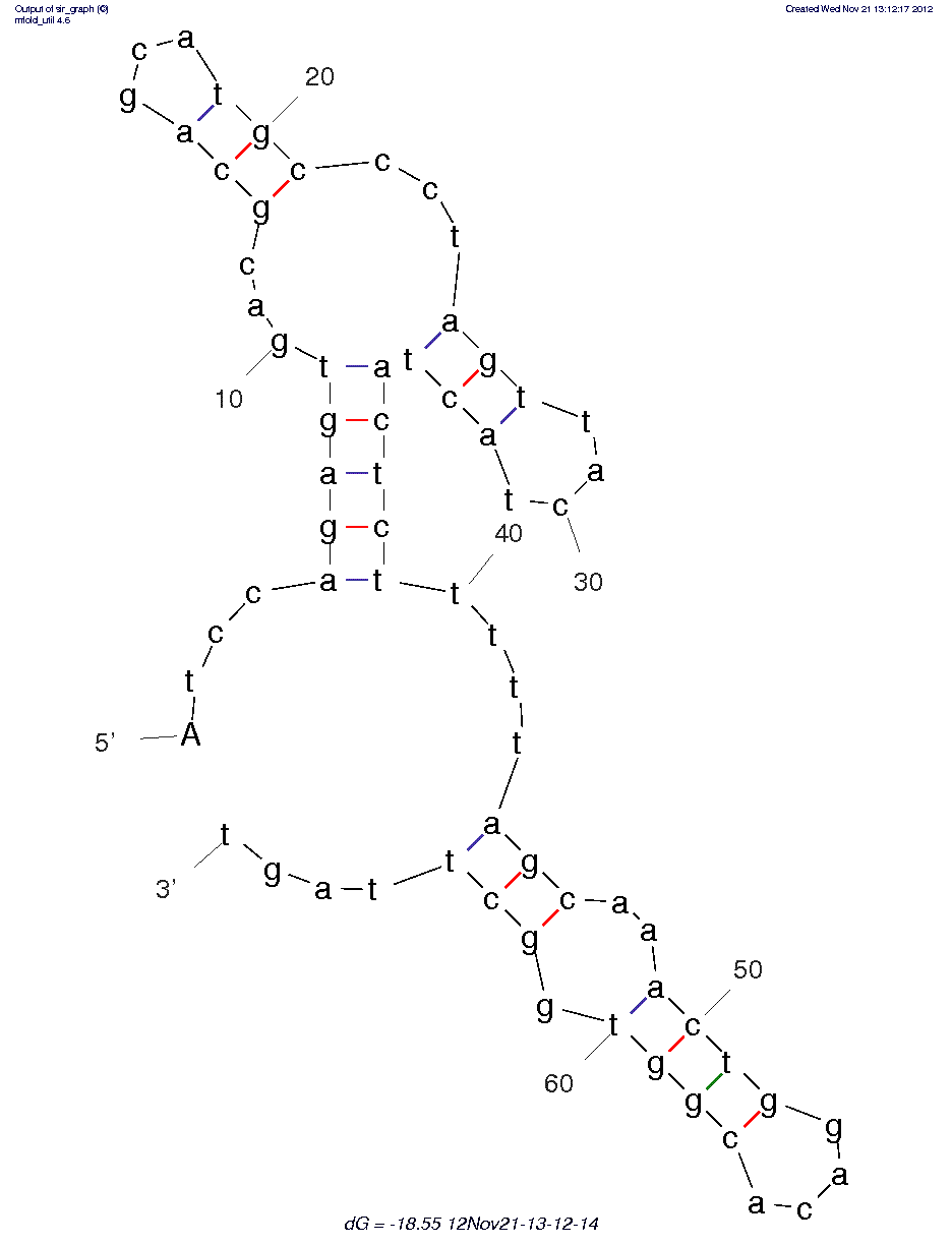 Acute myeloid leukemia cells (KH1C12) structure