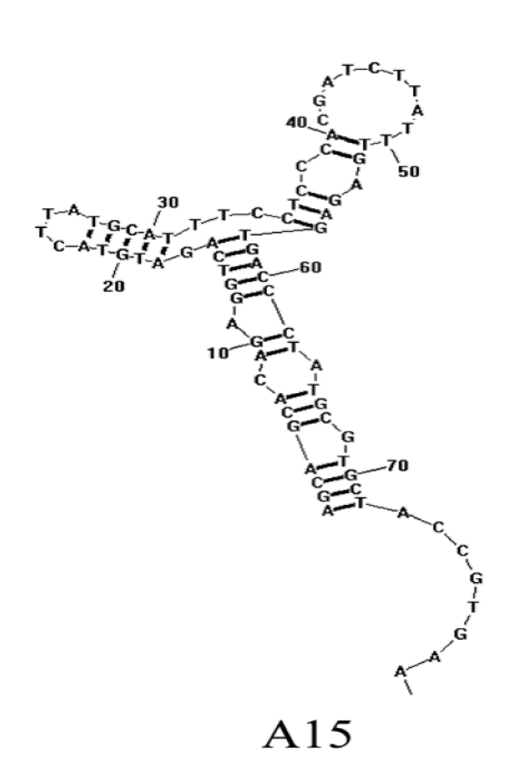 A15 structure