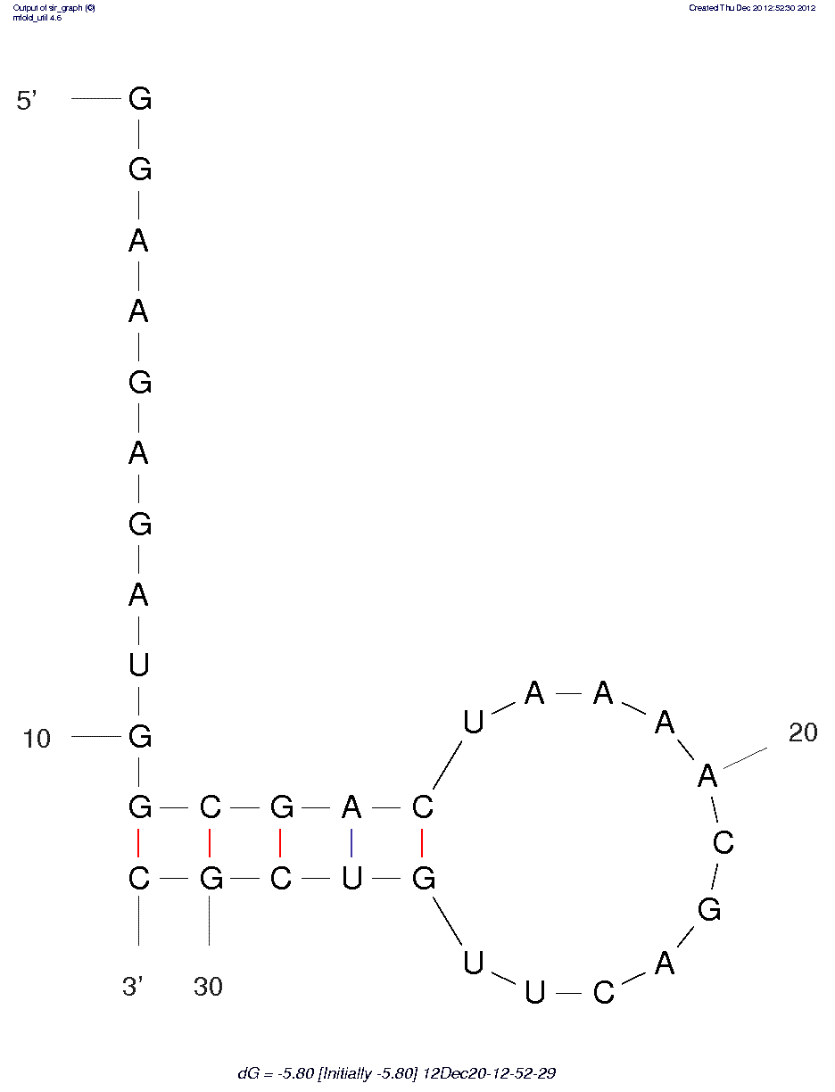 cAMP structure