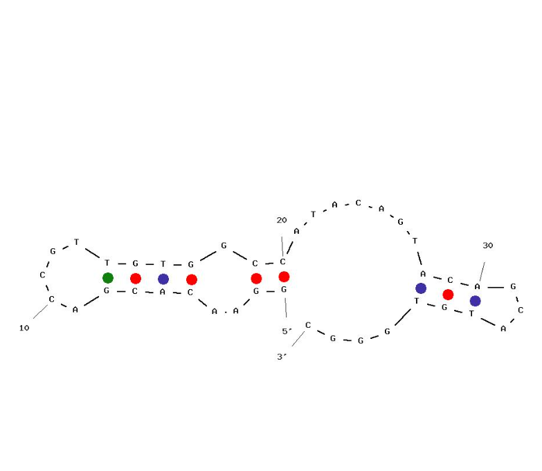 API7-4 structure