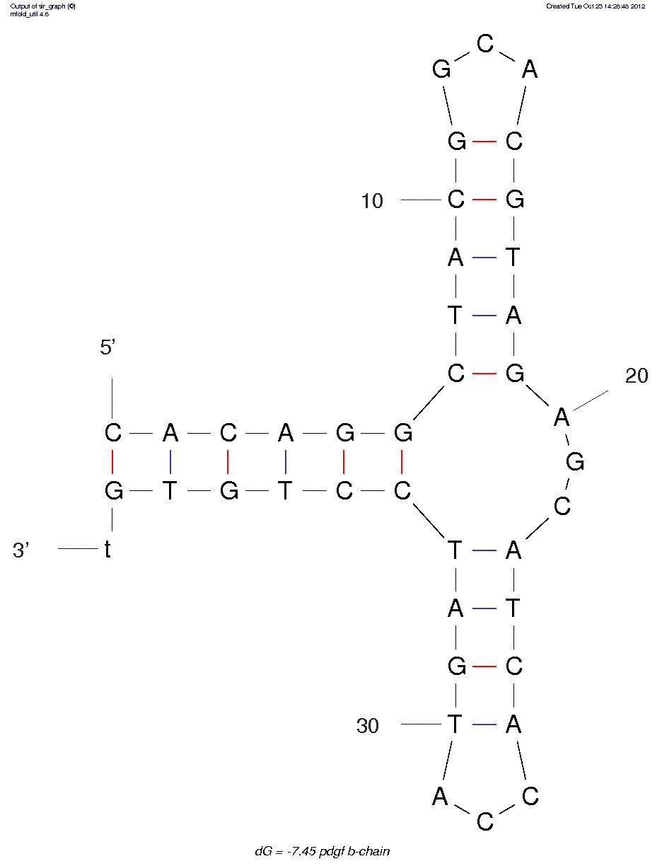 Platelet-Derived Growth Factor (PDGF) B-chain (36t) structure