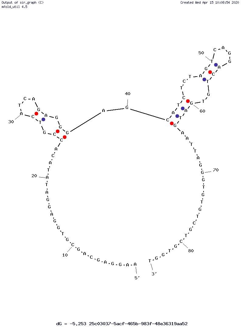 M3 Aptamer structure