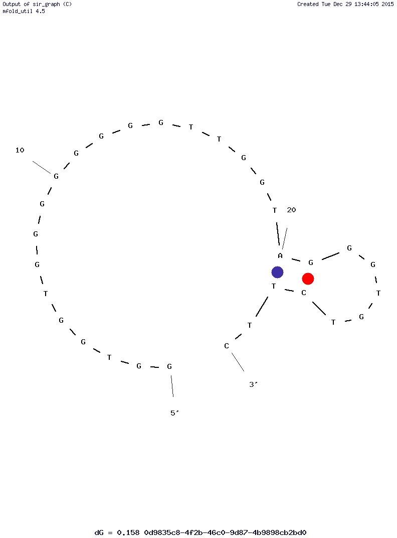 Insulin Binding Aptamer (IBA) structure