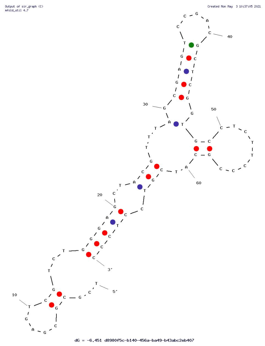 Apta 5 structure
