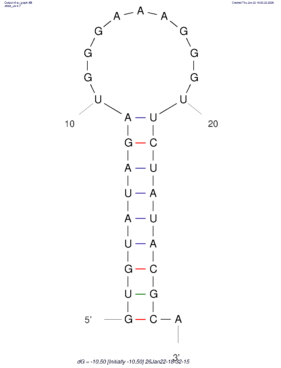 L-Apt.1-1 structure