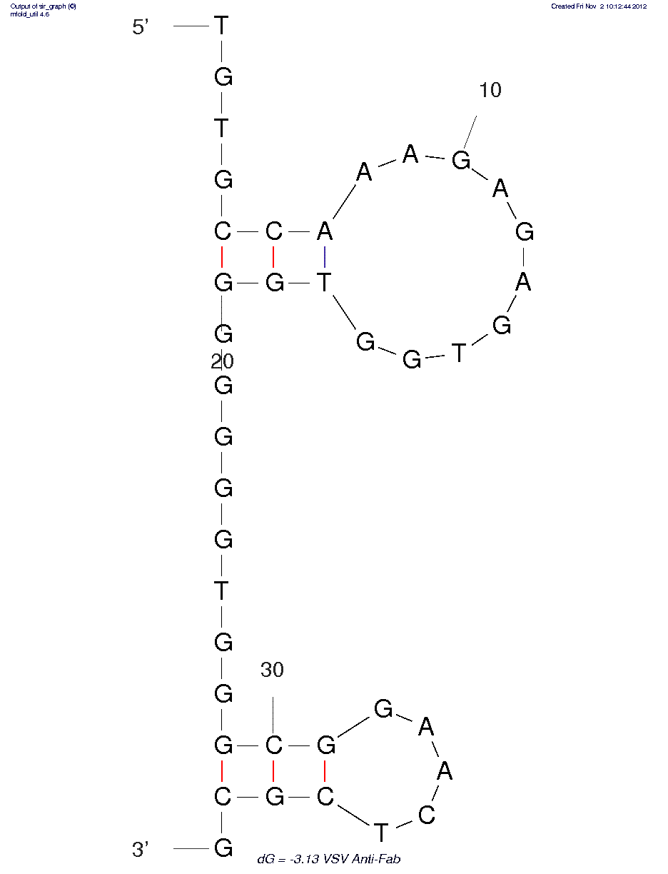 Antigen binding fragment of antivesicular stomatitis virus polyclonal antibodies (C5S) structure