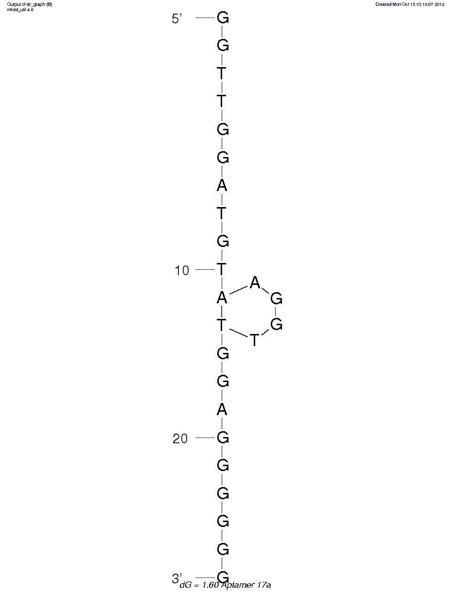 PC12 Cells (Aptamer17a) structure
