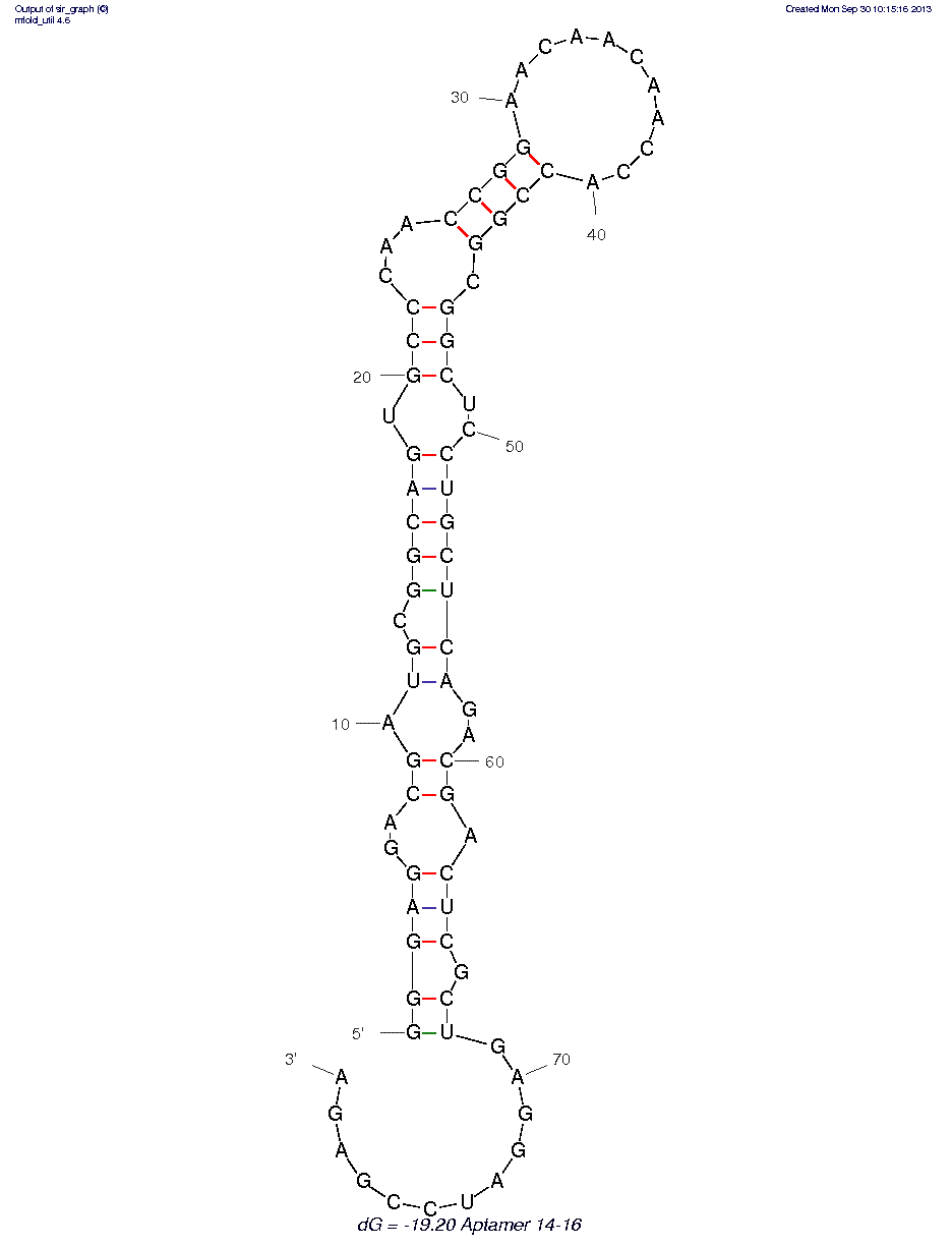 14-16 structure