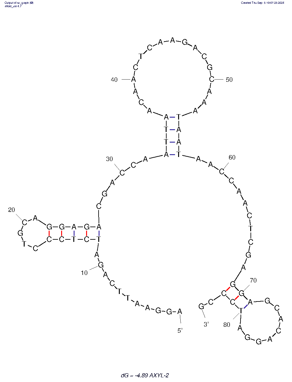 AXYL-2 structure