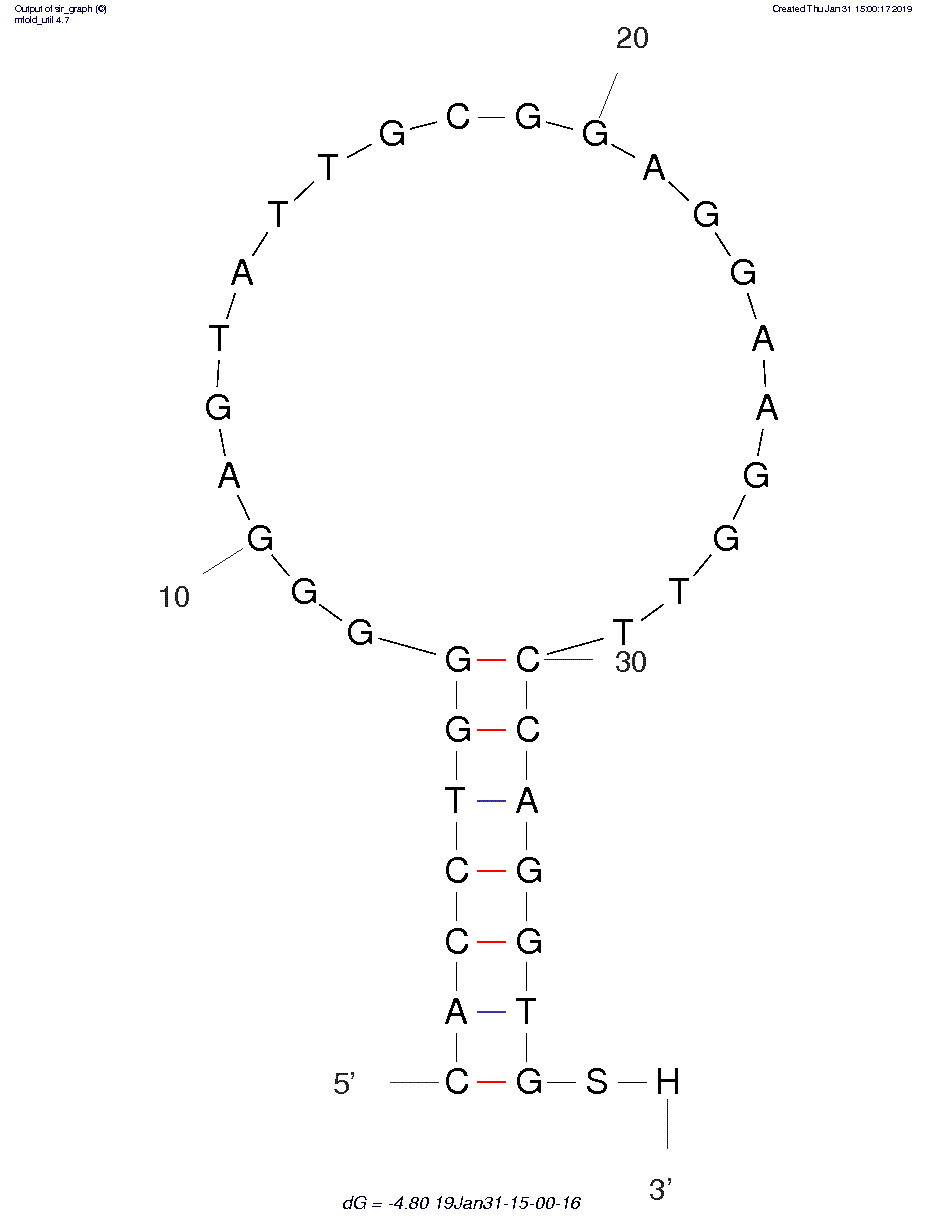 Huizenga ATP-Binding aptamer structure