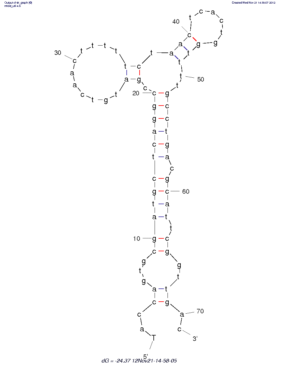 Small-Cell Lung Cancer (HCH07) structure