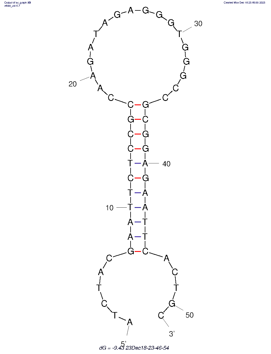 SARS-CoV-2 Variants’ Spike Protein DNA Aptamer M40 structure