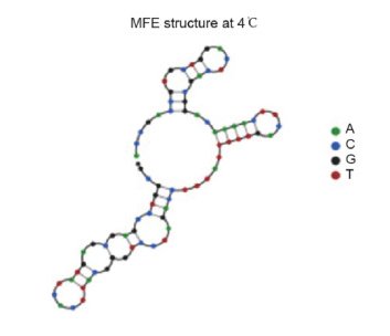HSM01 structure