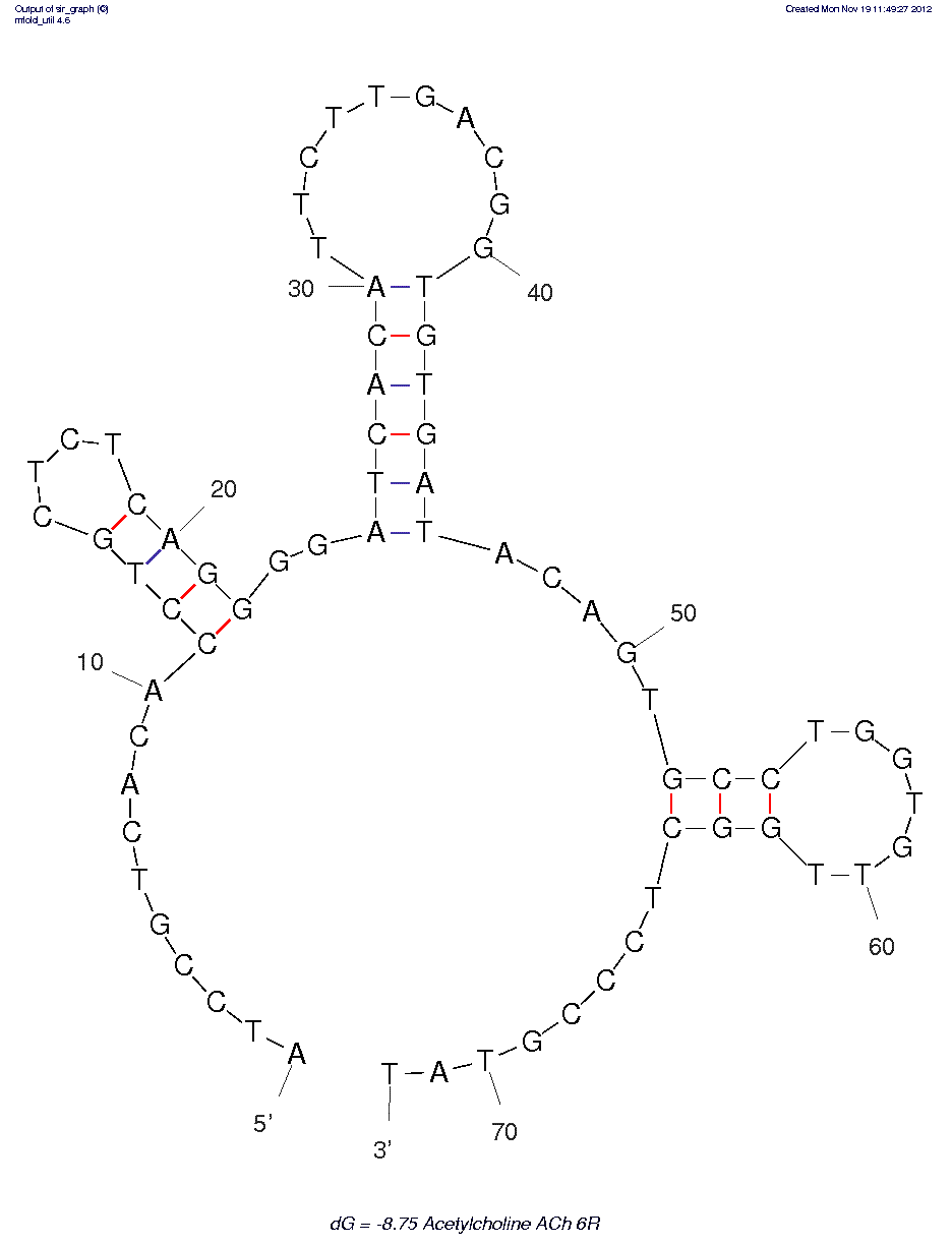 Acetylcholine (ACh 6R) structure