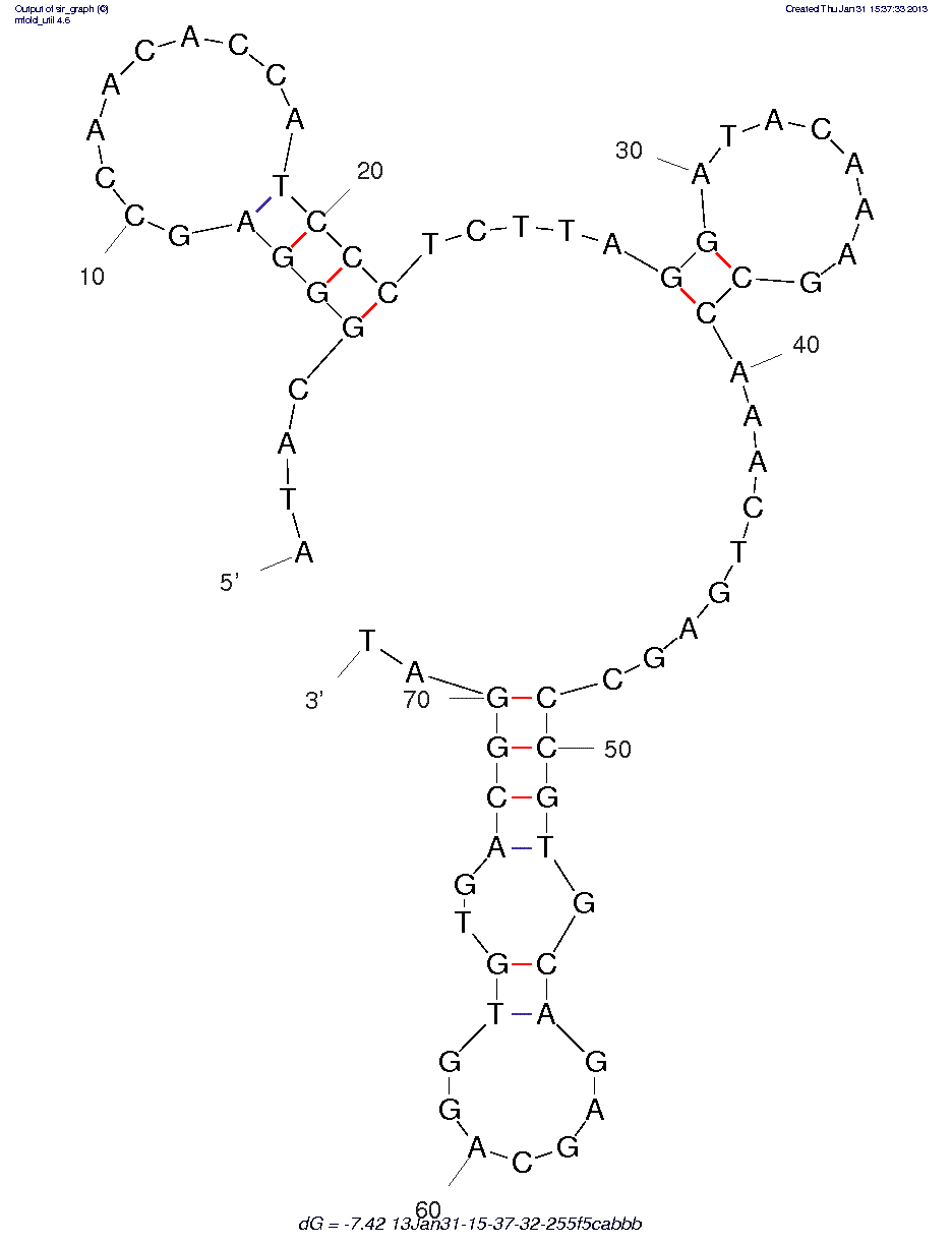 Bacillus anthracis spores (BAS-6F) structure