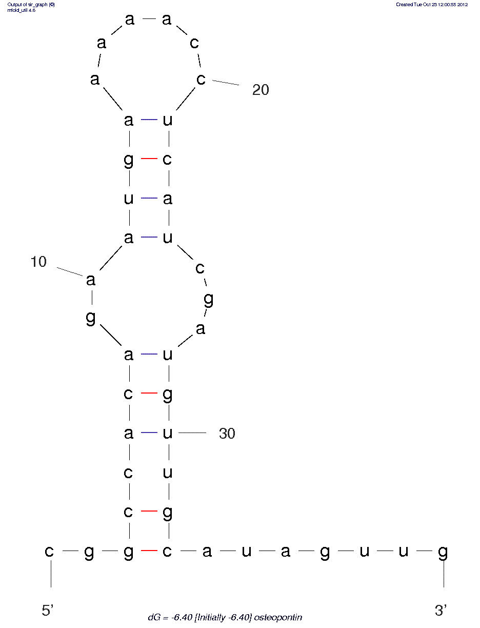 Osteopontin (OPN-R3) structure