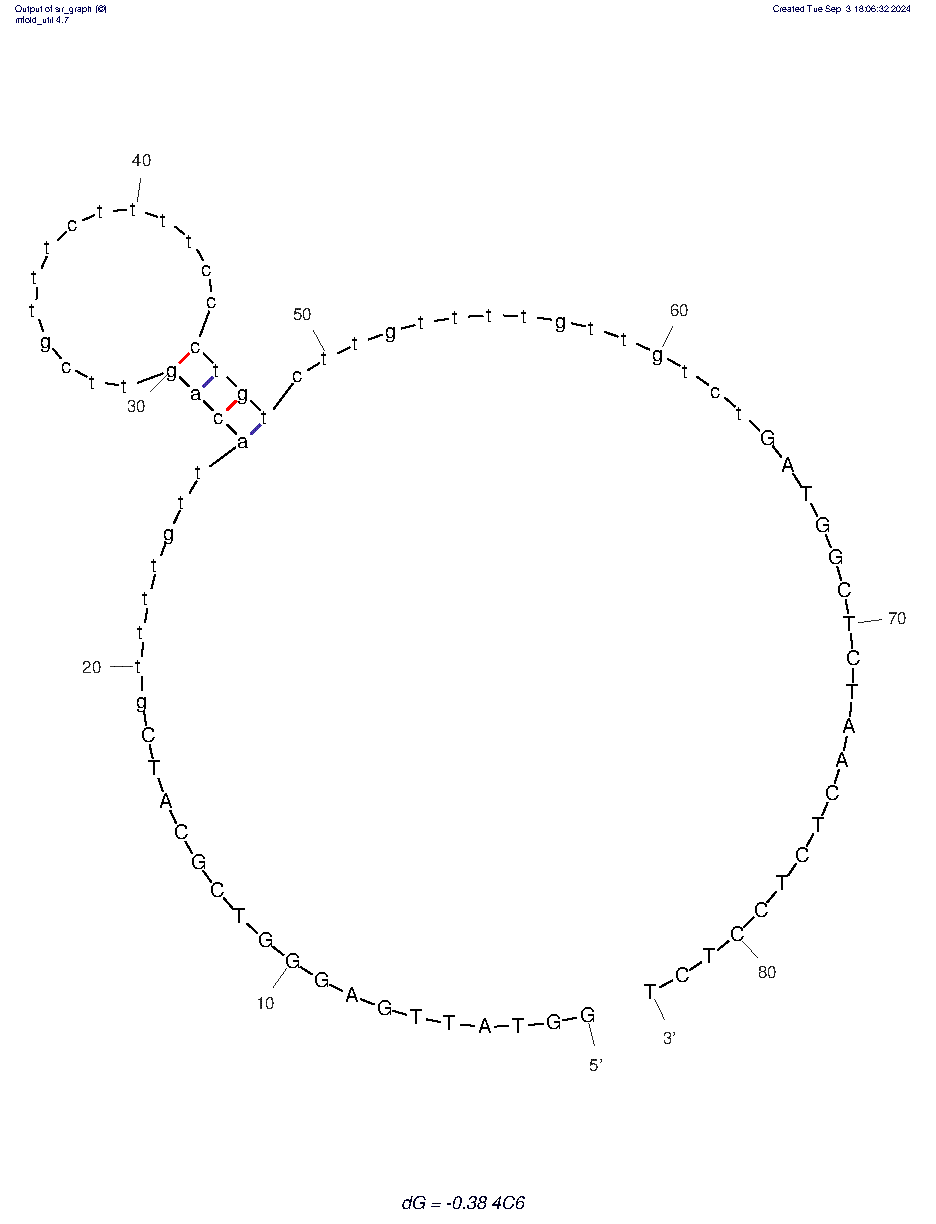 4C6 structure