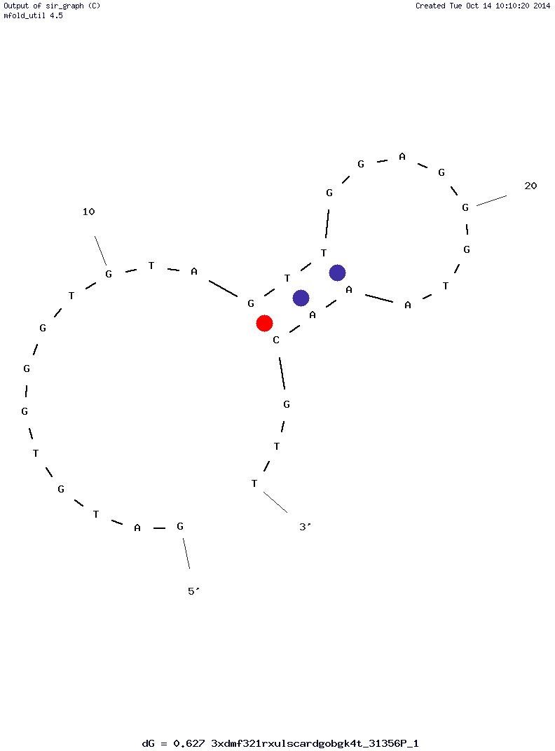1-PA structure
