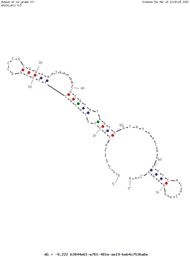 BnHNE1 structure