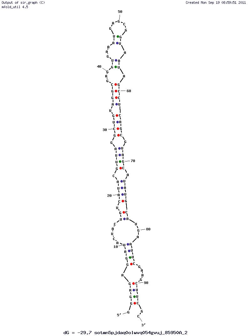 Zinc structure