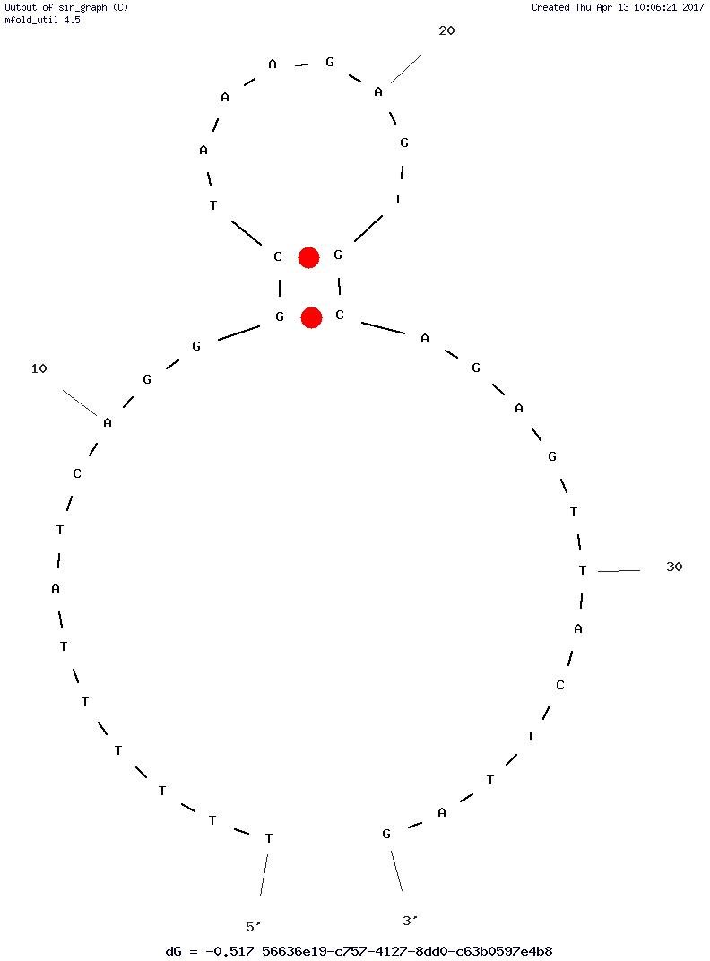 Lysozyme Aptamer structure
