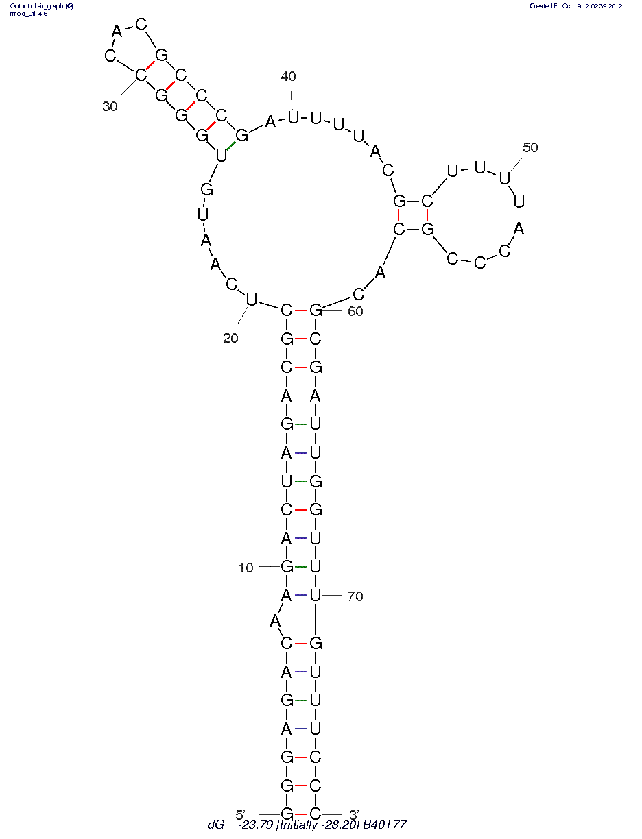 HIV-1 R5 SU Glycoprotein gp120 (B40t77) structure