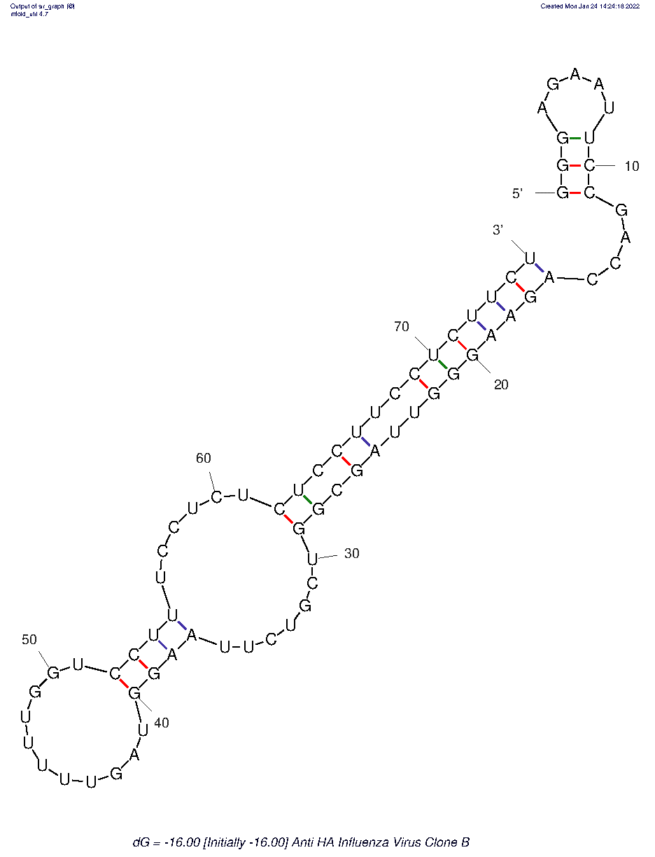 Anti HA Influenza Virus Clone B structure