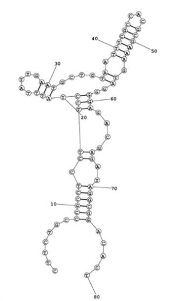B03 structure