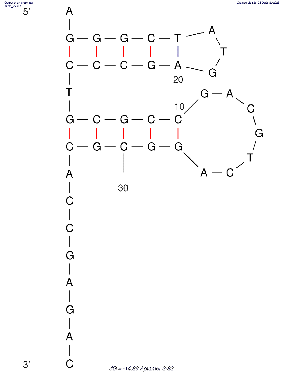 Aptamer 3-83 structure