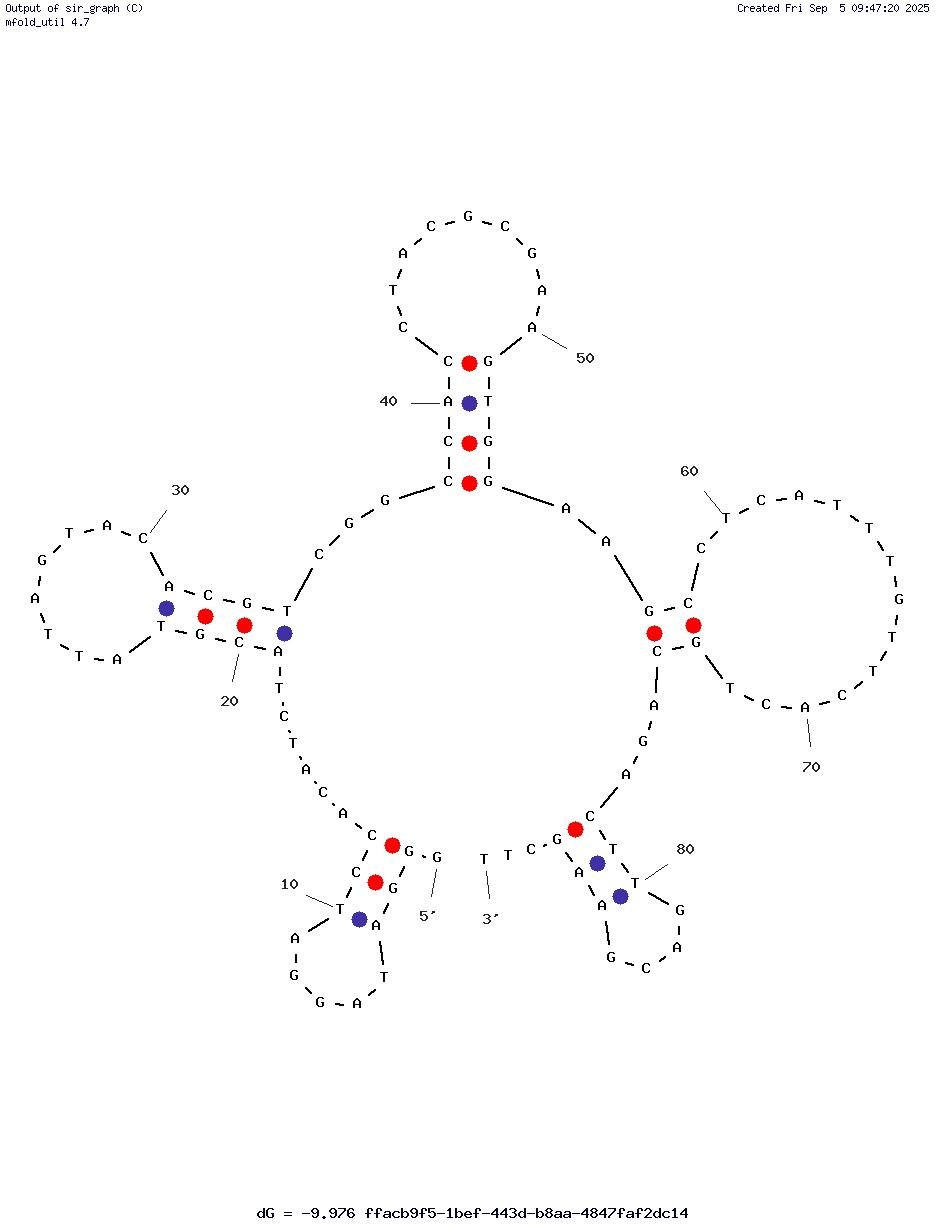 S10 structure