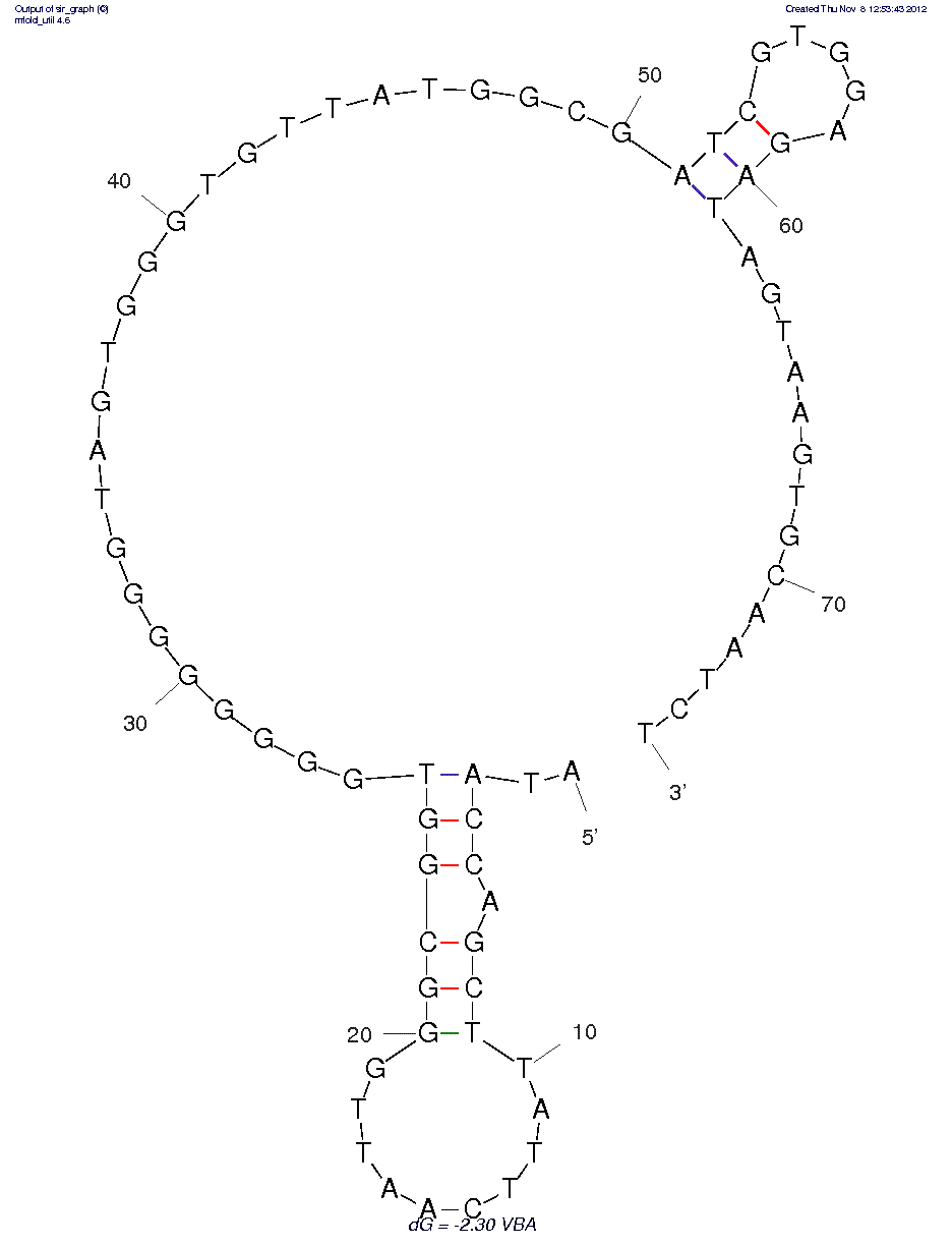 Vaspin binding aptamer (VBA) structure