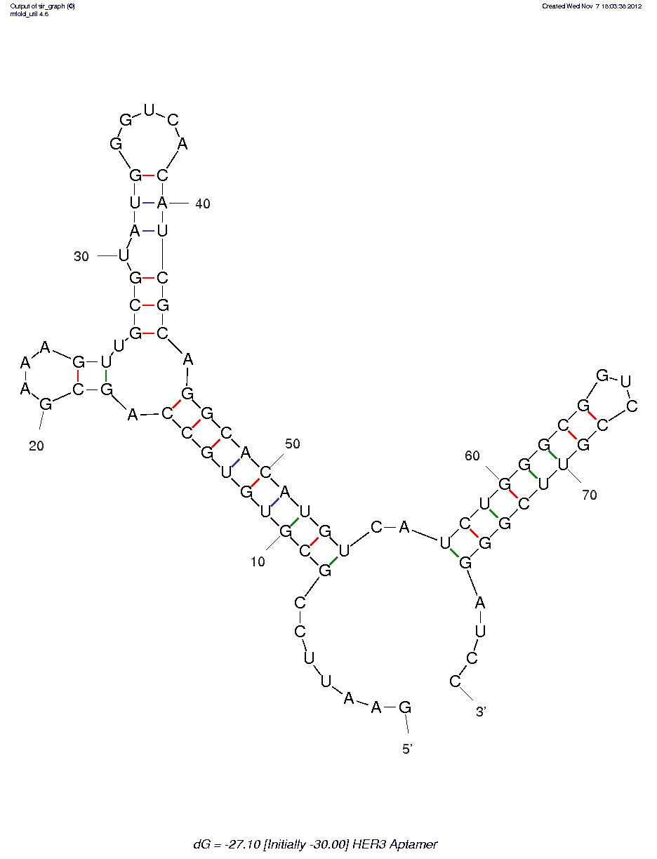 HER3 (A30) structure