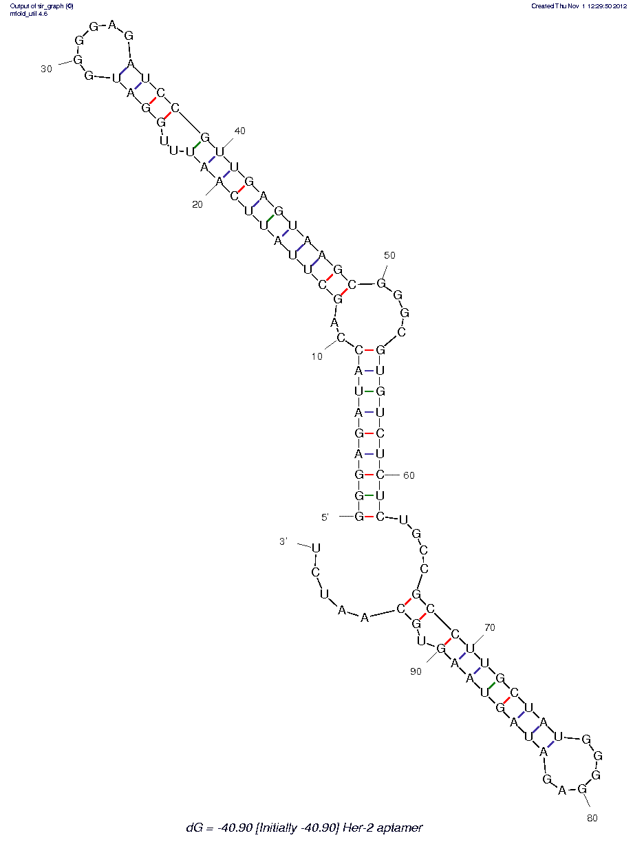 HER-2 (S6) structure