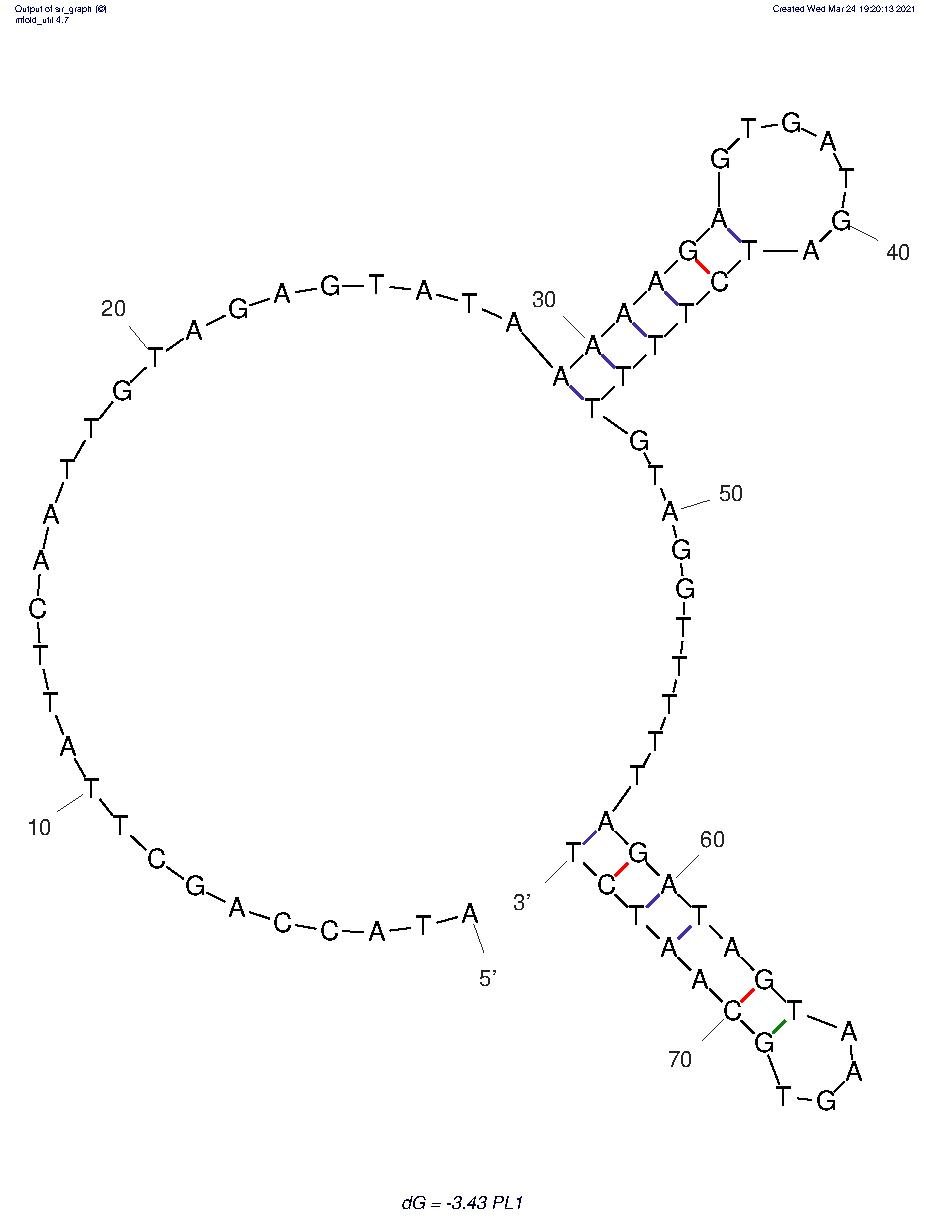 PL1 structure