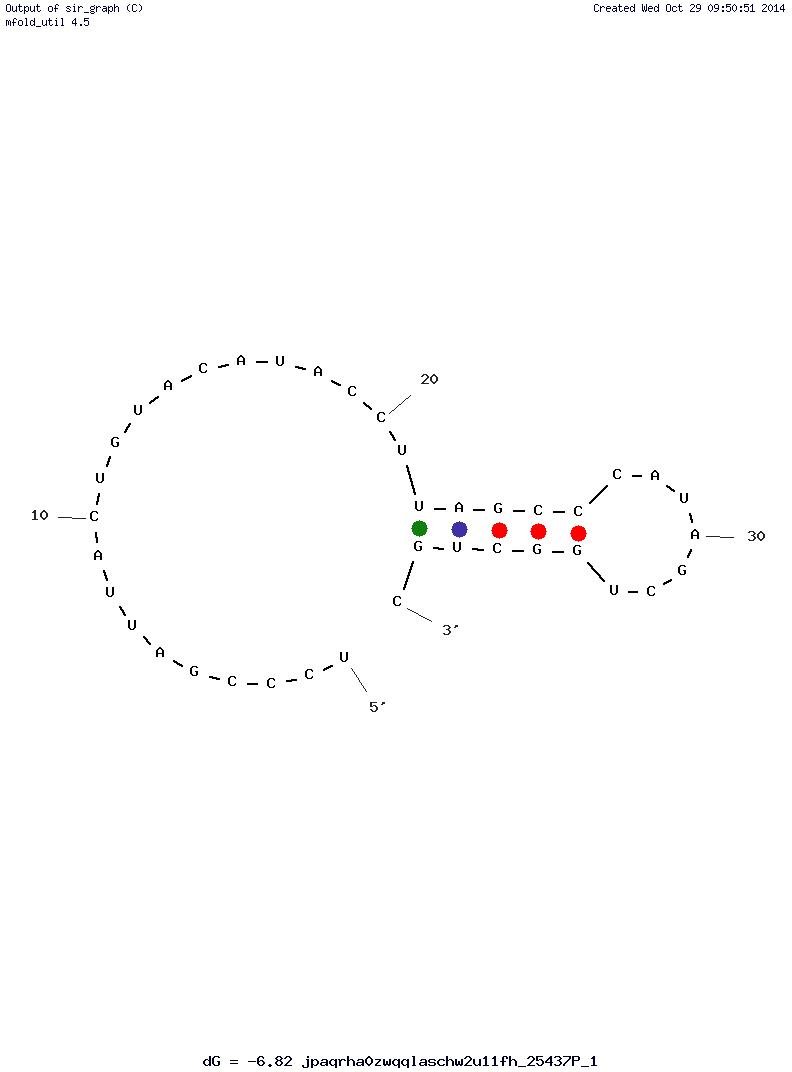 Mitomer2 structure