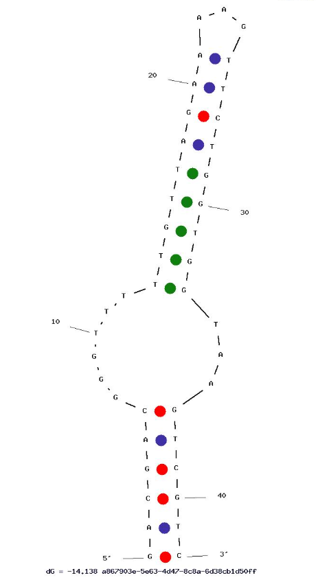 R10A4 structure