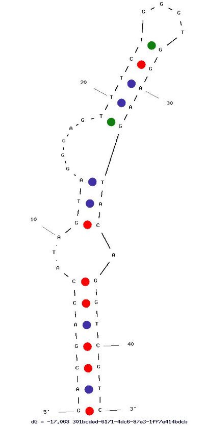R10X2 structure