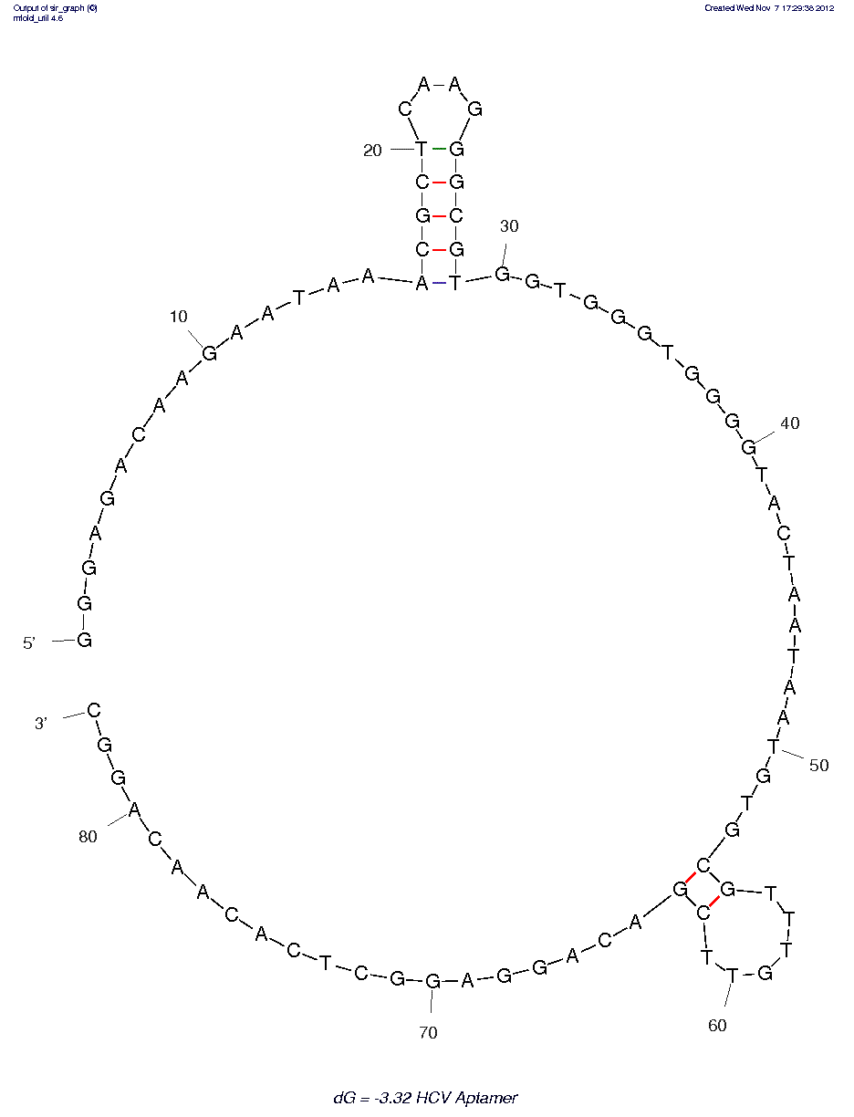 Hepatitis C Virus RdRp (r10/43) structure