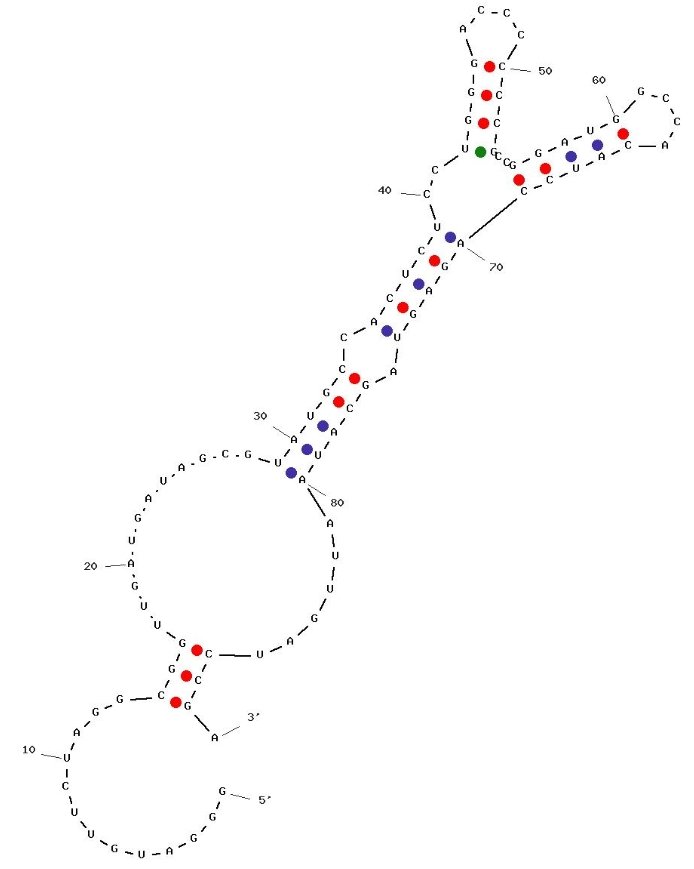 N2 against amyloid β-peptide structure