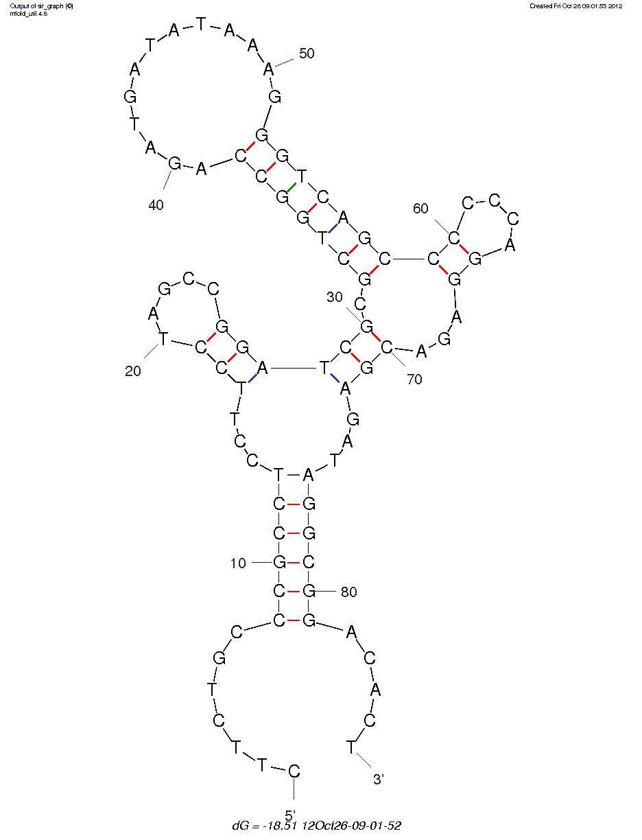 LPS (B2) structure