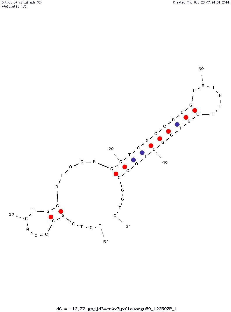 hVap1_Stem structure