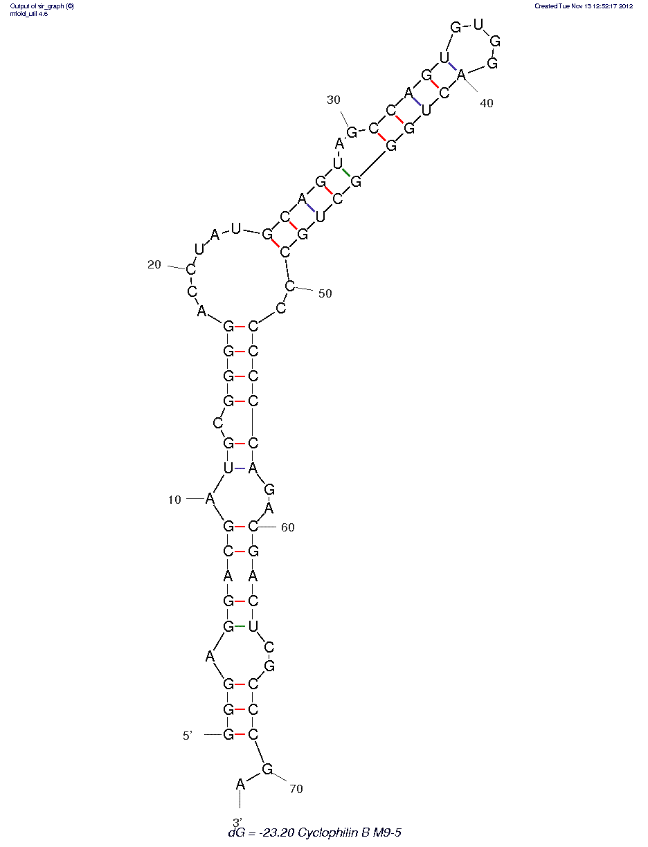 Cyclophilin B (M9-5) structure