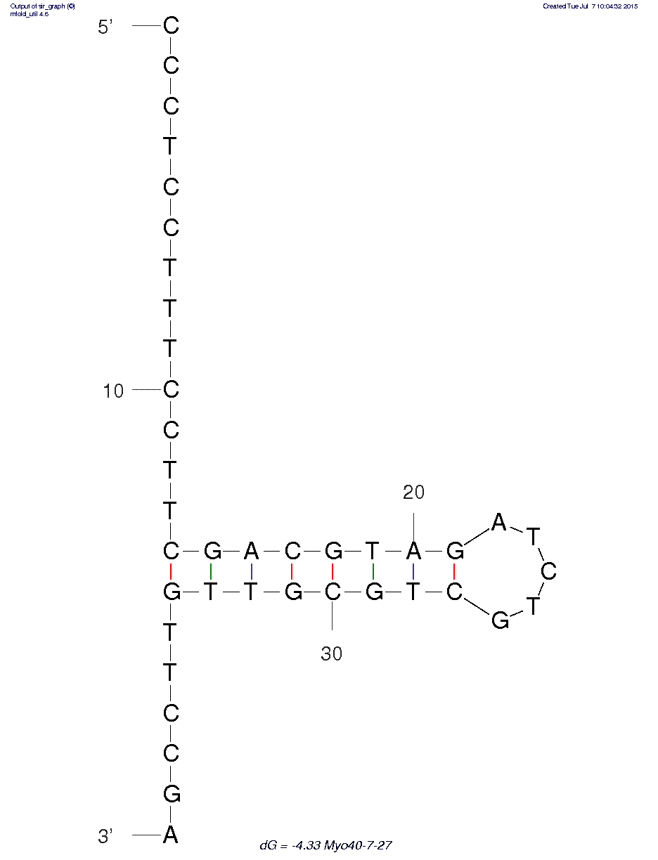 Myo40-7-27 structure